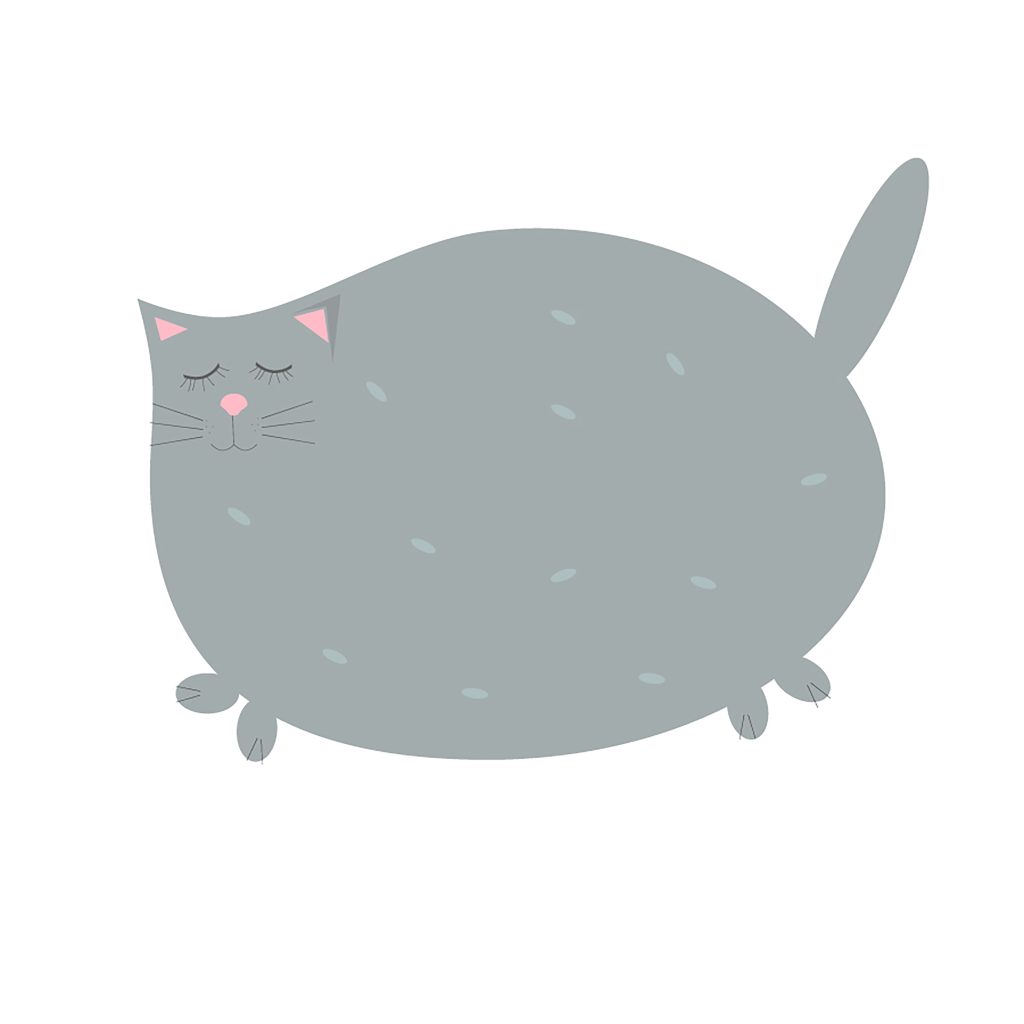 Illustration d'un gros chat gris